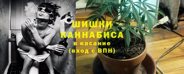 метадон Вяземский