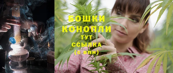 метадон Вяземский
