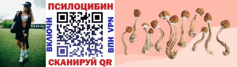 магазин  наркотиков  Голицыно  Псилоцибиновые грибы MAGIC MUSHROOMS 